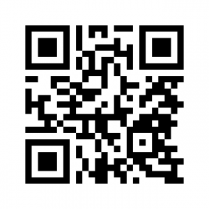 Wee QR Code